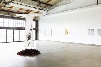 Bambus Im Portrait, Shan Fan