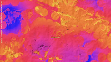 Interspecies Entanglements, Elsa Brès | Notes for Les Sanglières