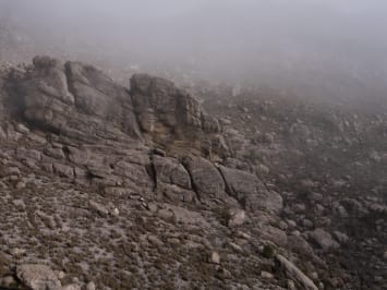 SARAH RHODES, A Surrounded Beauty