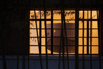 Miranda Fengyuan Zhang: A World Without Us, Virtual Tour of the Exhibition