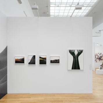 Art Basel Paris 2025, Binta Diaw