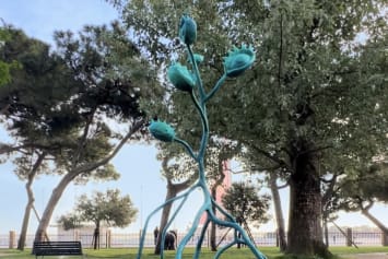 Consciousness Awakening during Venice Biennale, 2024