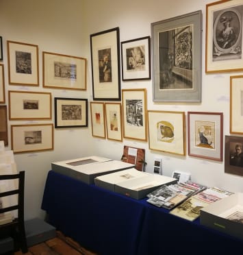 Elizabeth Harvey-Lee