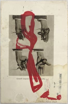 Image: Amina Benbouchta, Coronelle Lisse (Smooth Snake), 2025, Acrylic on found book leaf, 25 x 16.3 cm, 9 7/8 x 6 3/8 in.