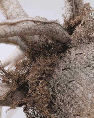 Across A Velvet Horizon, Nada Baraka and Esraa Elfeky | Dual Exhibition