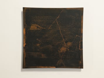 蘇笑柏, 《游弋自如-2》, 2018-2019