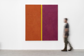 painting between cracks and cavities, sérgio sister
