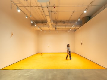 fragments for a cartography of return, carlos bunga
