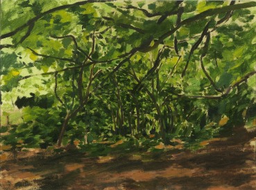 Norman Stevens ARA  The Copse, 1984  Oil on canvas  29 x 40 cm