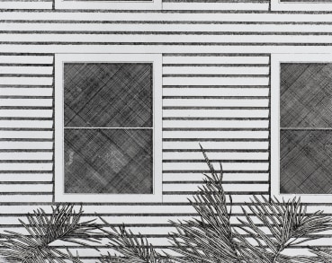 Norman Stevens ARA  Clapboard House with Fronds, 1972  Etching  24.8 x 31.2 cm  Signed, dated and titled