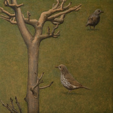 David Inshaw  Mistle Thrush and Tree, 2018  Oil on canvas  50 x 50 cm  Signed, dated and titled verso