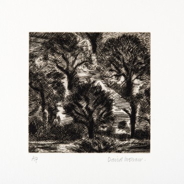 David Inshaw  Trees, 2010  Copper plate etching  12 x 12 cm  AP  Signed