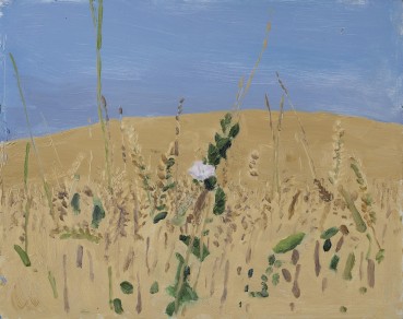 Danny Markey  Flower and Cornfields, 2018  Oil on board  23.4 x 29.3 cm  Signed and dated verso