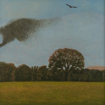 David Inshaw  Murmuration, 2020  Oil on canvas  61 x 61cm
