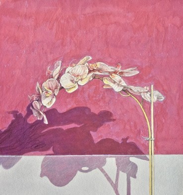 Bryan Organ  Study for Orchids, 2017  Gouache on paper  38 x 37cm