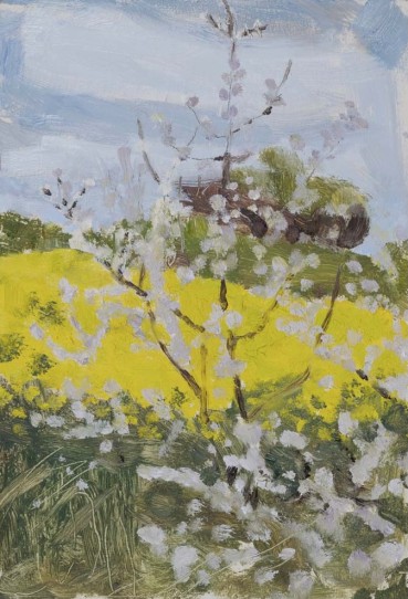 Danny Markey  May Tree, 2014  Oil on board  19 x 13.1 cm