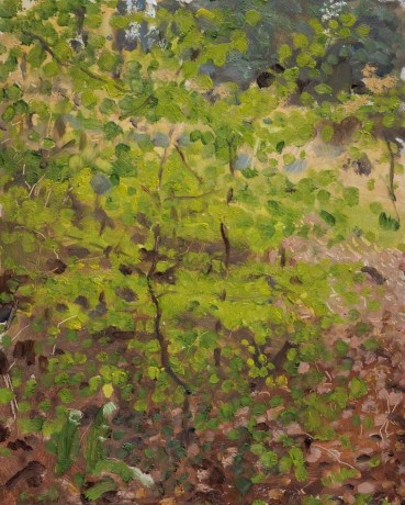Danny Markey  Spring Tree by a Path, 2015  Oil on board  29.5 x 23.5 cm