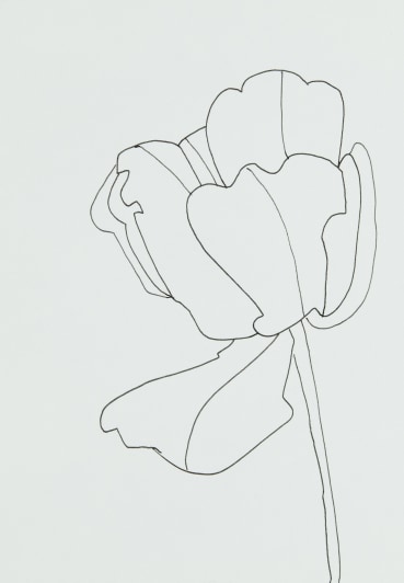 Sarah Armstrong-Jones  Tulip 2023, 2023  Pen and ink on paper  21 x 14.7 cm