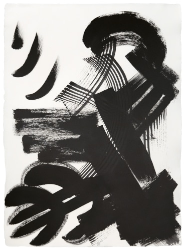 Nouneh Sarkissian  Eagles, 2021  Ink on handmade paper  98 x 70 cm