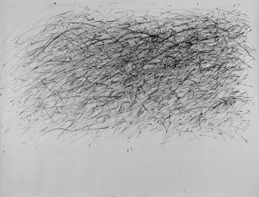 Eleanor Ekserdjian  After Goris, 2024  Reed pen and ink on paper  150 x 197 cm
