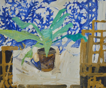 Ffiona Lewis  Evening Studio Plant , 2025  Oil on gesso board  50 x 60 cm