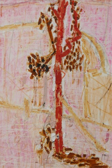 Ffiona Lewis  Pink Pine Poliphony, 2025  Wax crayon on paper  23 x 15 cm