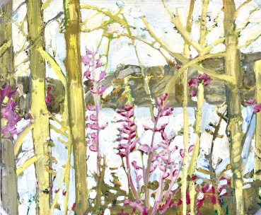 Ffiona Lewis  Summer Pond, 2025  Oil on gesso board  50 x 60 cm