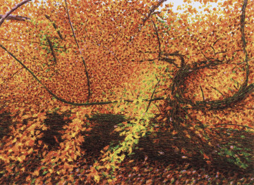 Norman Stevens ARA  Fallen Tree, Kensington Gardens, 1988  Screenprint  57.2 x 78.8 cm  From the edition of 100 impressions  Signed, dated, titled and numbered