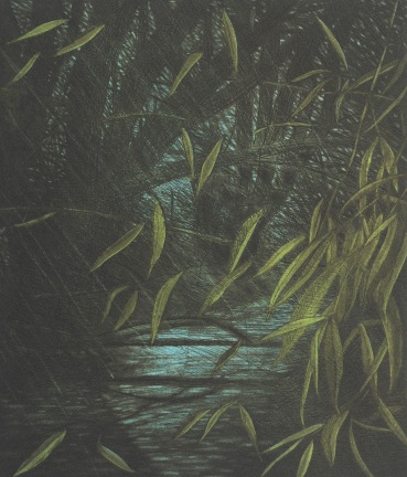 Norman Stevens ARA  Stream, Penn Common, 1978  Etching, aquatint and burnished aquatint  27 x 23 cm  From the edition of 150 impressions plus APs  Signed, dated, titled and numbered