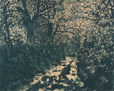 Norman Stevens ARA  The Darkling Thrush, 1977  Etching, aquatint and lift ground aquatint  43.8 x 54.6 cm  Signed, dated, titled and numbered by Norman Stevens