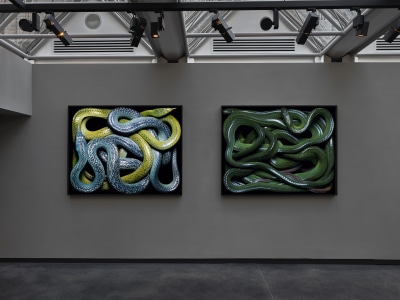 Guido Mocafico: Serpens