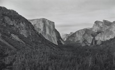 Artwork Spotlight: Yosemite IV (BGV) by Richard Learoyd, 2018