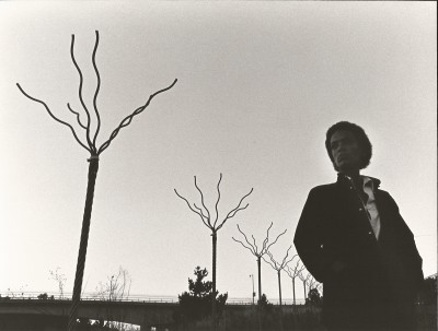 Maren Hassinger, Installation View, Twelve Trees, Los Angeles, CA, 1978