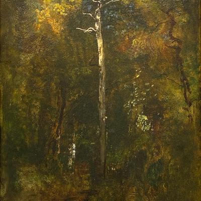 Sous-Bois á Fontainbleau