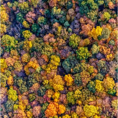 Hudson Valley Fall 02