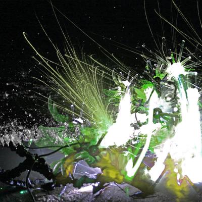 Emergent Ecological Technologies #2-Disney Nasa Borg