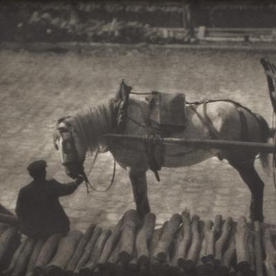Snapshot, Paris-Alfred Stieglitz