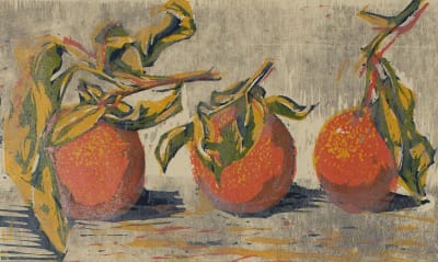 Hilary Daltry RE, Oranges