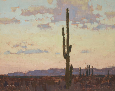 David Grossmann, Saguaro Sunrise