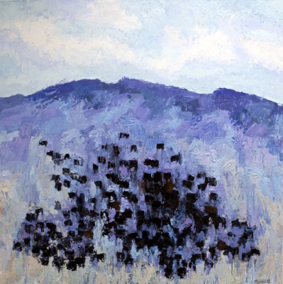 Theodore Waddell, Border Angus