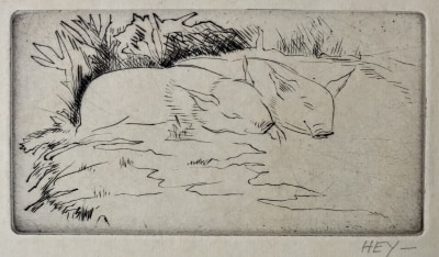Cicely Hey (1896-1980)Piglets Sleeping, c. 1924