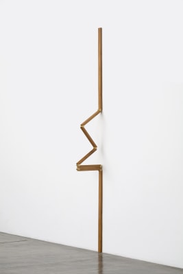 artur lescher, sem título # 08, da série metaméricos, 2010