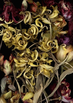luzia simons, stockage 95, 2011