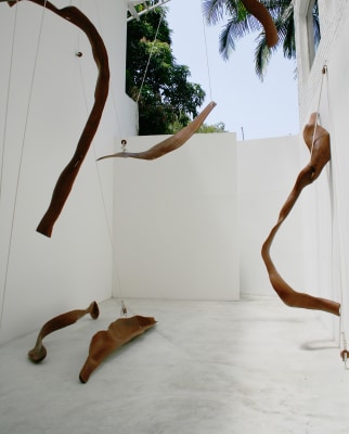 marcelo silveira, quando o coração floresce (ira, solidão, alegria, carinho), 2005 / 2006