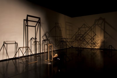 raul mourão, tração animal, 2012