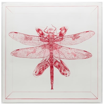rodolpho parigi, libelulis moi même, auto-retrato, 2011