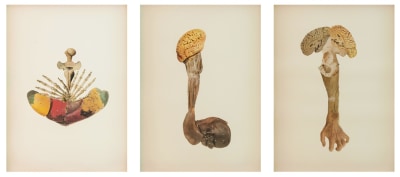 rodolpho parigi, atlas (detalhe), 2013 / 2014