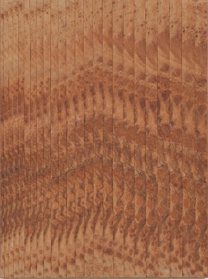 abraham palatnik, sem título, 1974