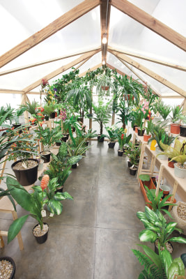 alberto baraya, green house, 2013