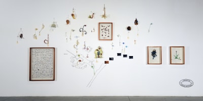 alberto baraya, expedición venecia, 2009